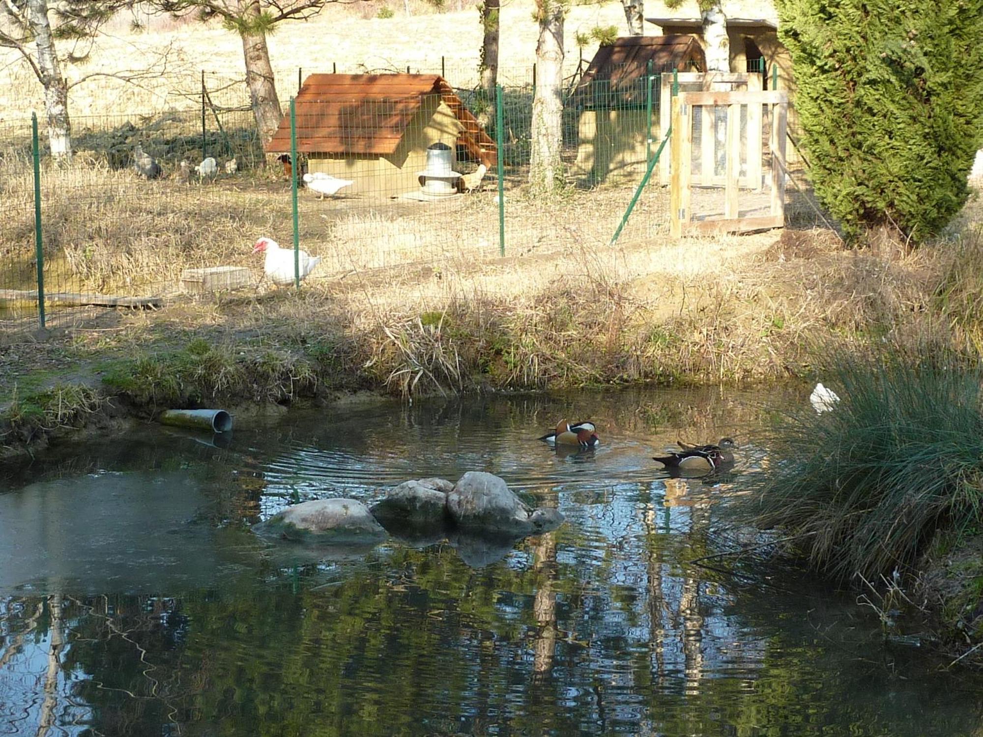 La Source, Vegetarian Guest House Chabeuil Eksteriør bilde