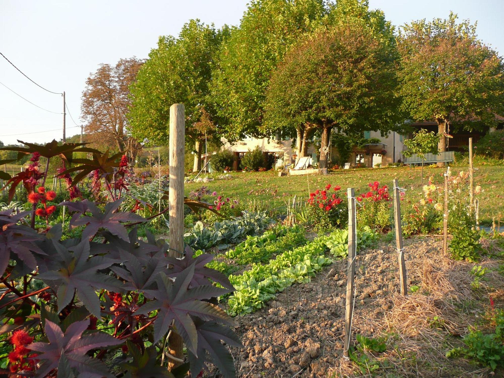 La Source, Vegetarian Guest House Chabeuil Eksteriør bilde